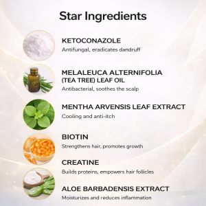 Ready to Ship Ketoconazole Anti-Dandruff Shampoo – Medicated 2% Formula for Seborrheic Dermatitis, Targeted Relief from Scalp Flaking, Itching & Fungal Overgrowth, Clinically Proven Dandruff Treatment