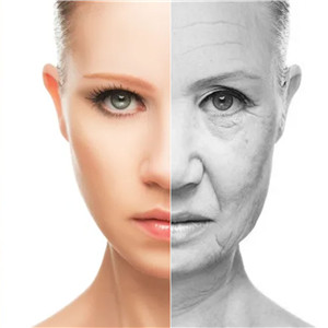 Anti aging