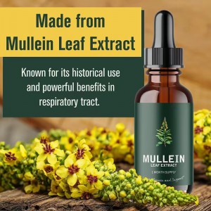 Natural Supplement Mullein Leaf drops for lung detox Multivitamin, Immune Support Supplement Complex