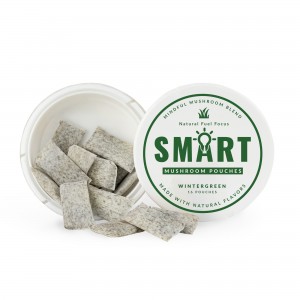 OEM SMART Nootropic Pouches like ALPHA energy pouches with mushroom for Calm, Focus, Memory – Sugar Free Healthcare Edible