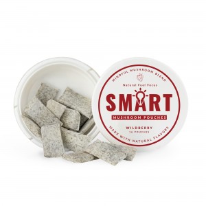 OEM SMART Nootropic Pouches like ALPHA energy pouches with mushroom for Calm, Focus, Memory – Sugar Free Healthcare Edible