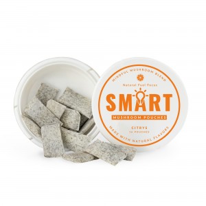 OEM SMART Nootropic Pouches like ALPHA energy pouches with mushroom for Calm, Focus, Memory – Sugar Free Healthcare Edible