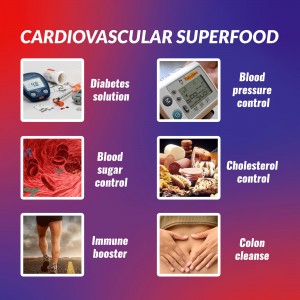 private label high quality 6 into 1 formula diabetes blood pressure sugar balance for cholesterol control immnue supplement