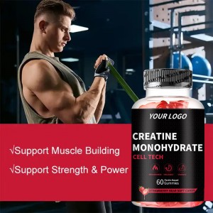 Private Label Pre-Workout Fitness Vitamin Supplement Creatine Monohydrate Magnesium Gummy