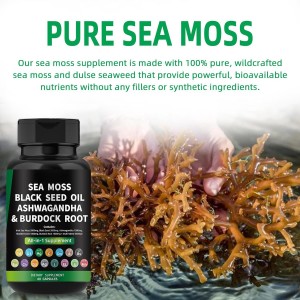 customized  All-in-One Irish Sea Moss capsules with Black Seed Oil Elderberry Fruit Ashwagandha Powder as  Multivitamin Supplements